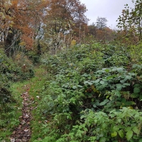 SNTV Task Bourne Mill 2019-11-24 04