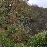 SNTV Task Bourne Mill 2019-11-24 05