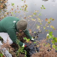 SNTV Task Bourne Mill 2019-11-24 09