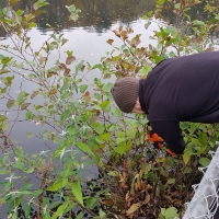 SNTV Task Bourne Mill 2019-11-24 10