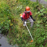 SNTV Task Bourne Mill 2019-11-24 12