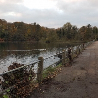 SNTV Task Bourne Mill 2019-11-24 13