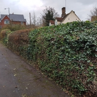 SNTV Task Bourne Mill 2019-11-24 15