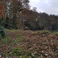 SNTV Task Bourne Mill 2019-11-24 17