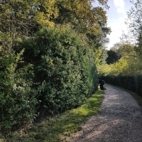 SNTV Task Ickworth 2019-10-27 03
