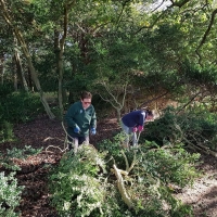 SNTV Task Ickworth 2019-10-27 08