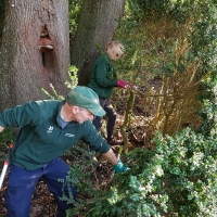 SNTV Task Ickworth 2019-10-27 11