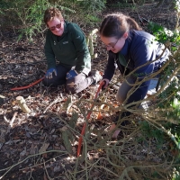 SNTV Task Ickworth 2019-10-27 13