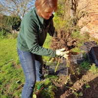 SNTV Task Ickworth 2019-11-10 07