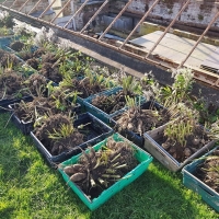 SNTV Task Ickworth 2019-11-10 11