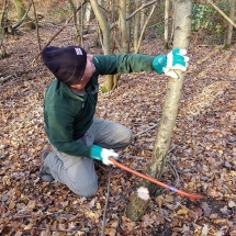 78636175_1403450159818968_8482469124365090816_o