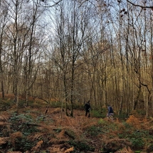 78806446_1403450303152287_3012959003123646464_o