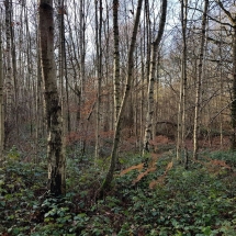 78852441_1403449879818996_6196812169384820736_o