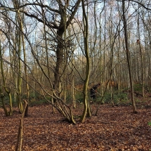 78911126_1403450419818942_8202802169972260864_o