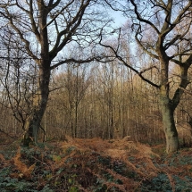 79037938_1403450616485589_3079039621888212992_o