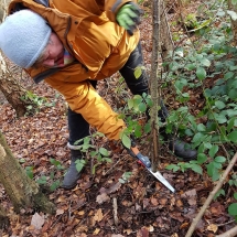 80348654_1403449053152412_3545305523559596032_o