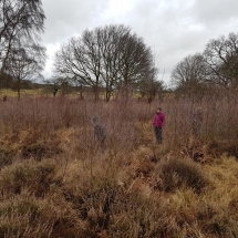 86995718_10156571659676986_53640602473988096_o 86995718_10156571659676986_53640602473988096_o