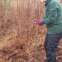 87346791_10156571659541986_7883151406515879936_o 87346791_10156571659541986_7883151406515879936_o