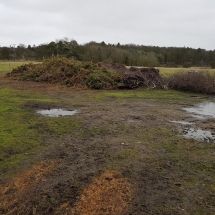 87946739_10156571660816986_6154268662892068864_o 87946739_10156571660816986_6154268662892068864_o