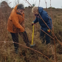 87979270_10156571659906986_5523485383272169472_o 87979270_10156571659906986_5523485383272169472_o