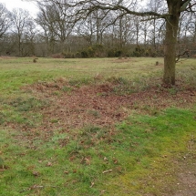 83928582_10156602797671986_3686982097924259840_o