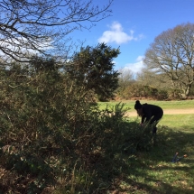 84173667_10158378225462650_5682044189882187776_n