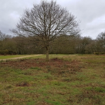 89317433_10156602796816986_8310990871445110784_o