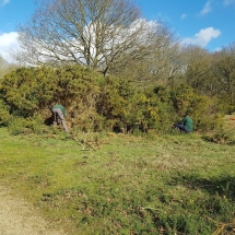 89348583_10156602797081986_2314658476833374208_o