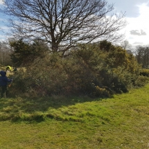 89469891_10156602795511986_7549230493959454720_o