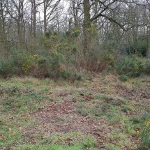 89478270_10156602797921986_7902772255938052096_o