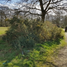 89617671_10156602797136986_3272261434507001856_o