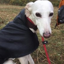 89828881_10158378226017650_6238118218490183680_n